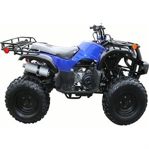 TrailMaster_ATV3150DX2_24.1