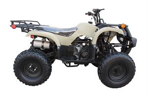 TrailMaster_ATV3150DX2_30